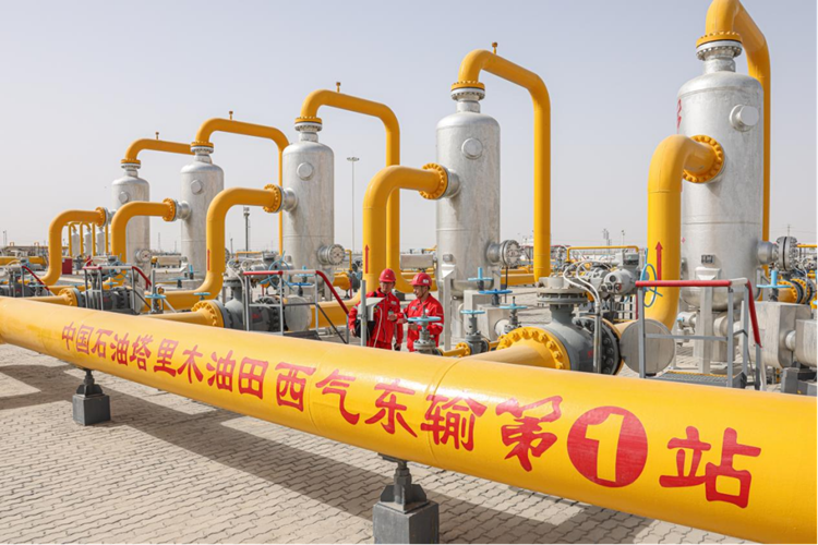 Z6·尊龙凯时「中国区」官方网站